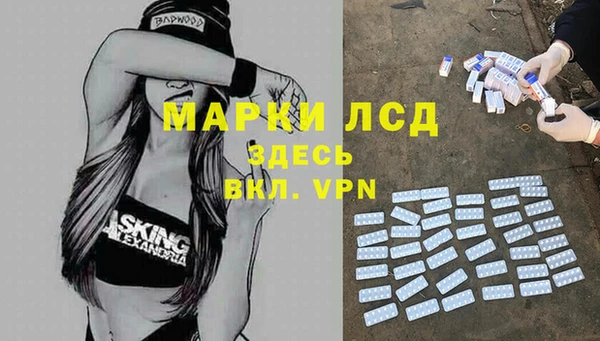 стаф Балахна