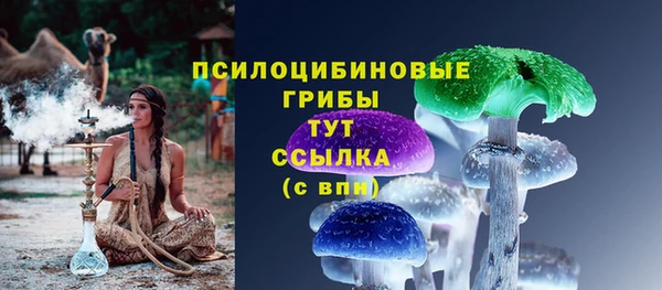 стаф Балахна