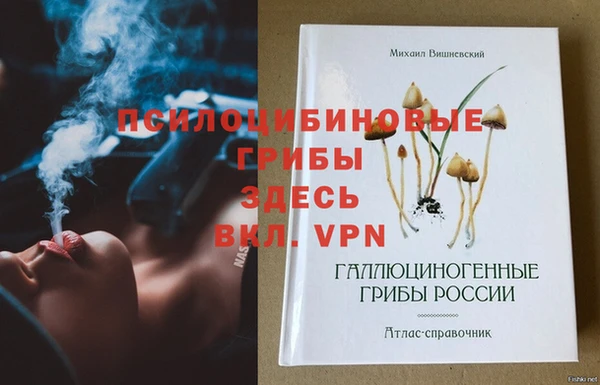 стаф Балахна