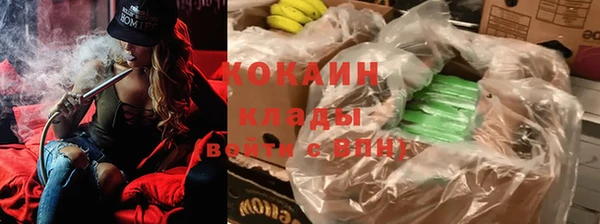 амф Пестово