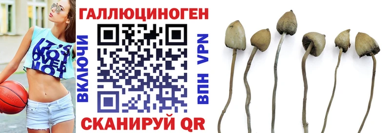 Псилоцибиновые грибы мухоморы  Купить закладки  Аркадак 